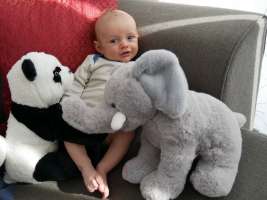 louis
